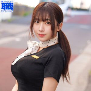 あいりさん パッケージ画像
